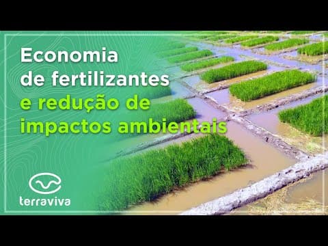 Estudos apontam potencial de bactérias para aumento de produtividade de arroz em até 30%