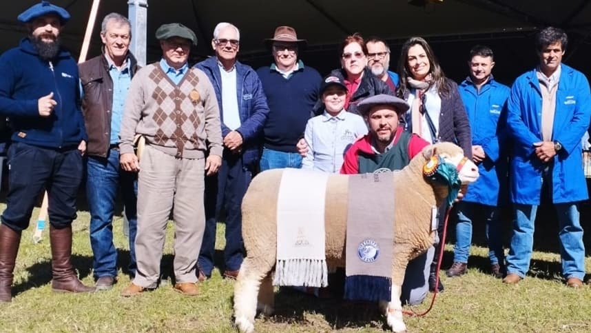 Cinco raças ovinas conheceram campeões nesta terça-feira