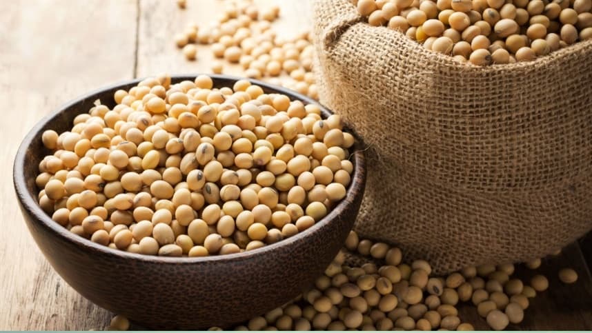 Embrapa Cerrados apresenta cultivares de soja na Tecnoshow Comigo, em Rio Verde (GO)