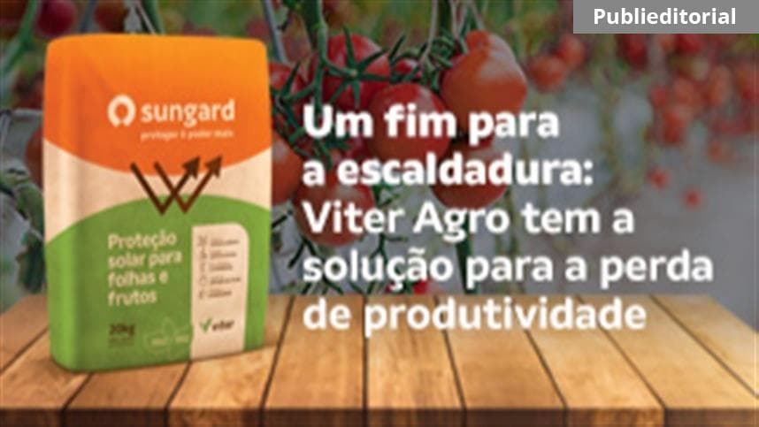 Um fim para a escaldadura: Viter Agro tem a solução para redução da perda de produtividade