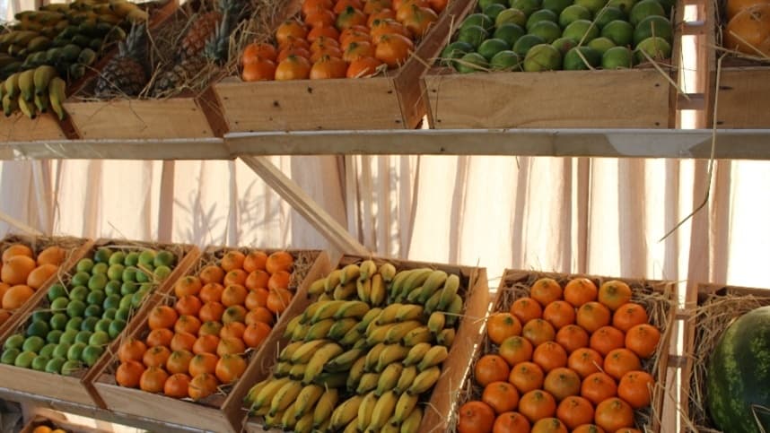 Embrapa reúne especialistas para debater desafios da fruticultura brasileira