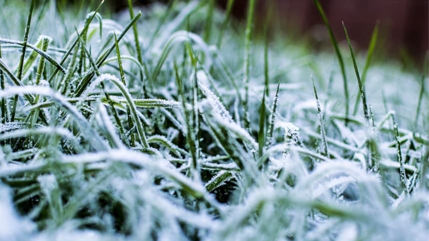 Onda de frio: veja onde pode fazer até -6°C no Brasil