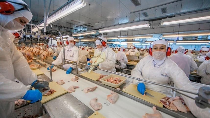 Probiótico é efetivo na prevenção de infecções alimentares