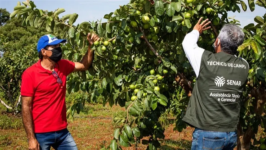 Mais de 12 mil produtores rurais serão atendidos pelo Senar-ES em 2021