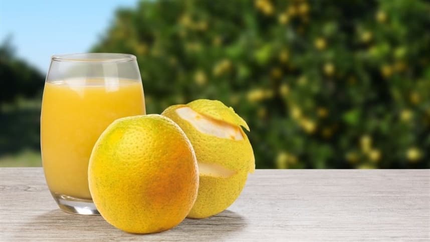 Suco de laranja: do aumento da imunidade à redução do risco de doenças crônicas