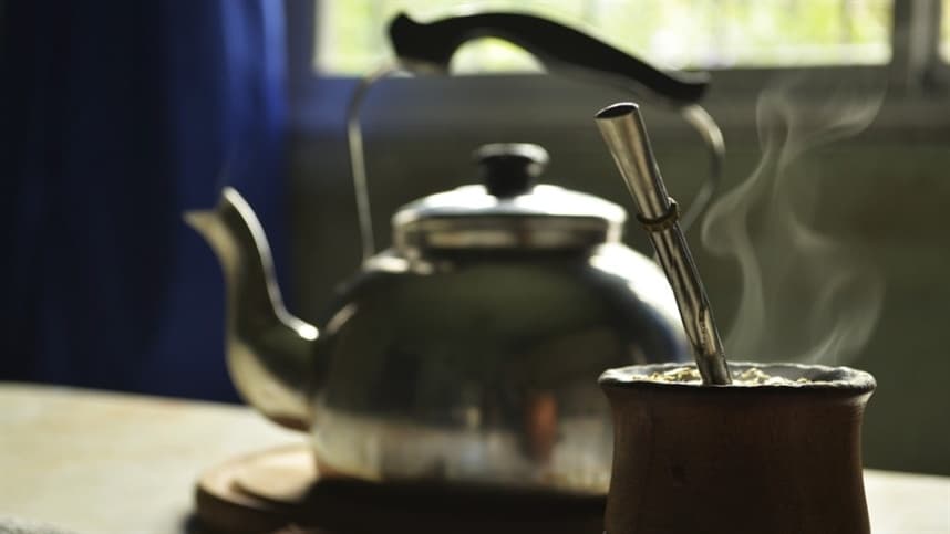 Produtores recorrem a controle biológico na erva-mate