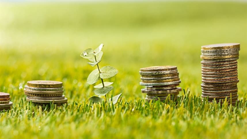 Reivindicações do setor agropecuário na Reforma Tributária são cabíveis?
