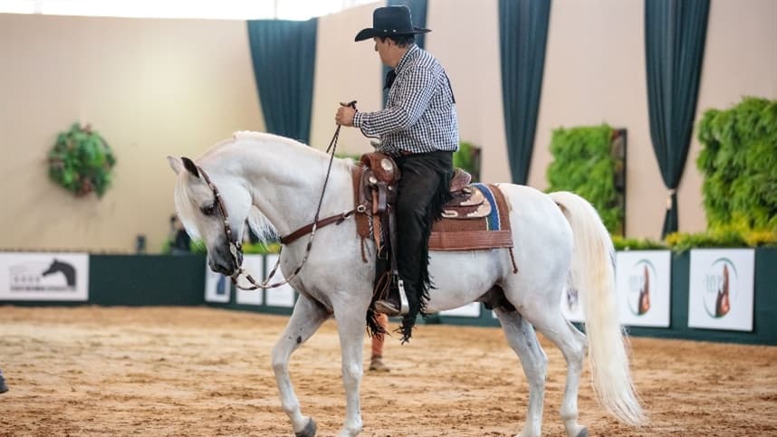 Indaiatuba sedia a 40ª Exposição Nacional do Cavalo Árabe