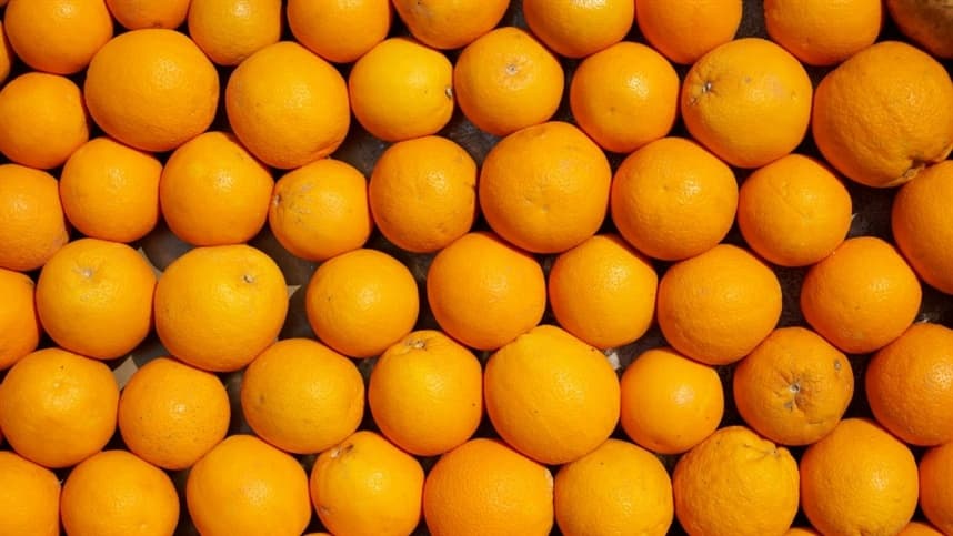Laranja inicia safra com preços em queda