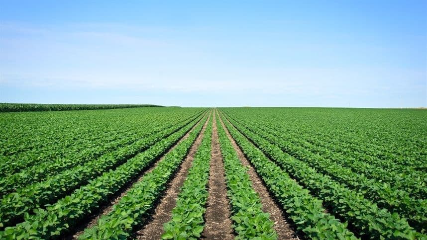 Vendas de inoculantes devem crescer 10% em 2017