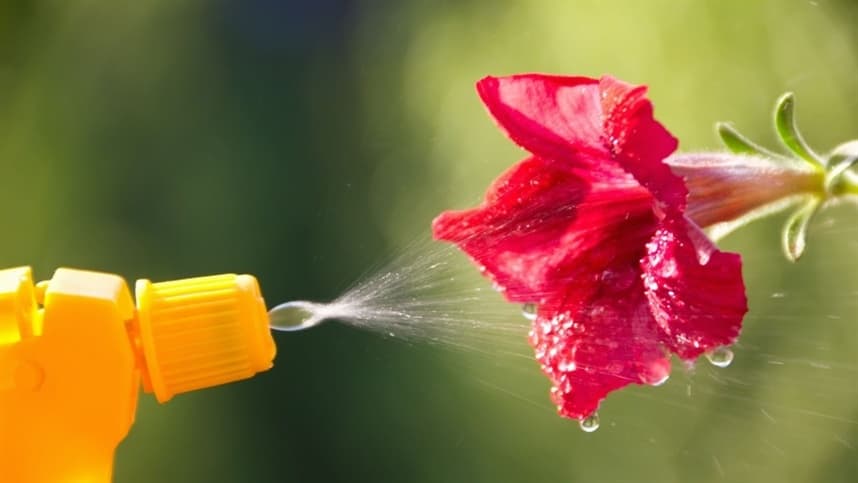 Fertilizantes aplicados via foliar