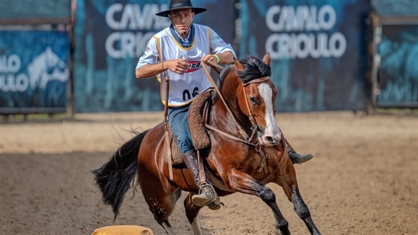Freio de Ouro consagra bicampeonato de cavalo uruguaio e título de fêmea inédita