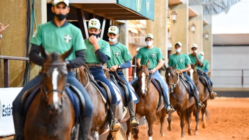43ª Nacional Mangalarga registra balanço positivo