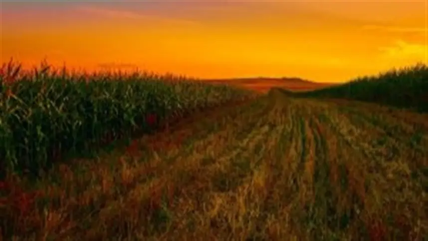 Nova lei do agro facilita acesso do setor aos investimentos do exterior