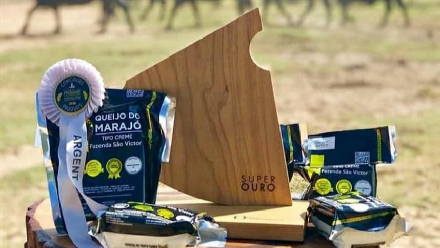 Conheça o queijo de búfala único no mundo