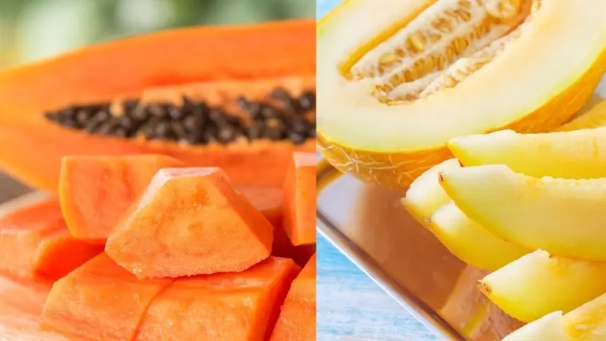 Melão ou mamão, qual produz mais rápido?