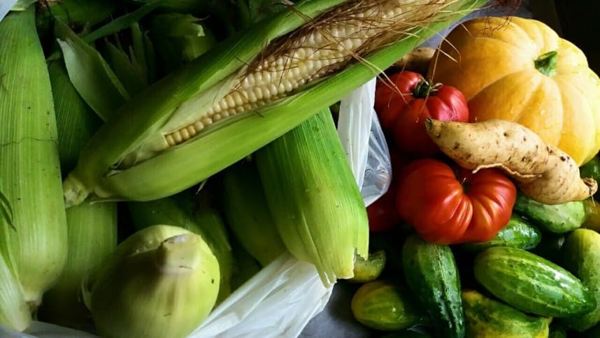 Sensor detecta bactérias e pesticidas em vegetais