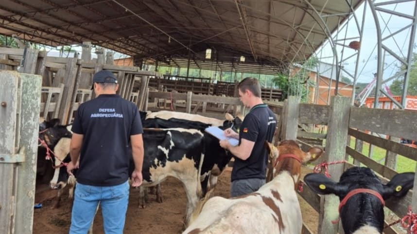 Secretaria da Agricultura recebe animais na Fenasoja 2026
