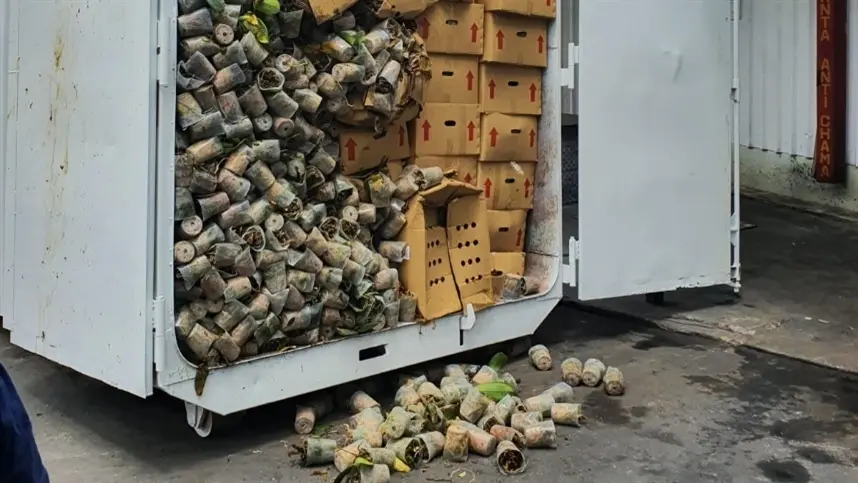 Ação impede entrada de orquídeas com praga ausente 