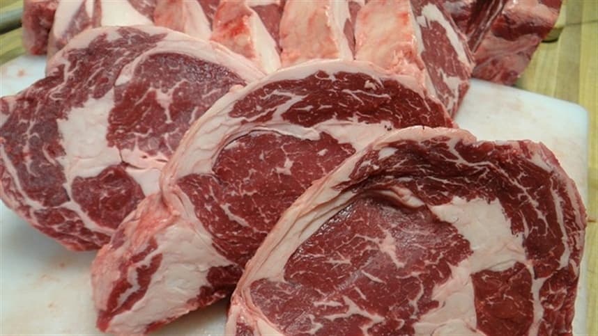 Brasil tenta reverter veto da União Europeia à carne e animais brasileiros