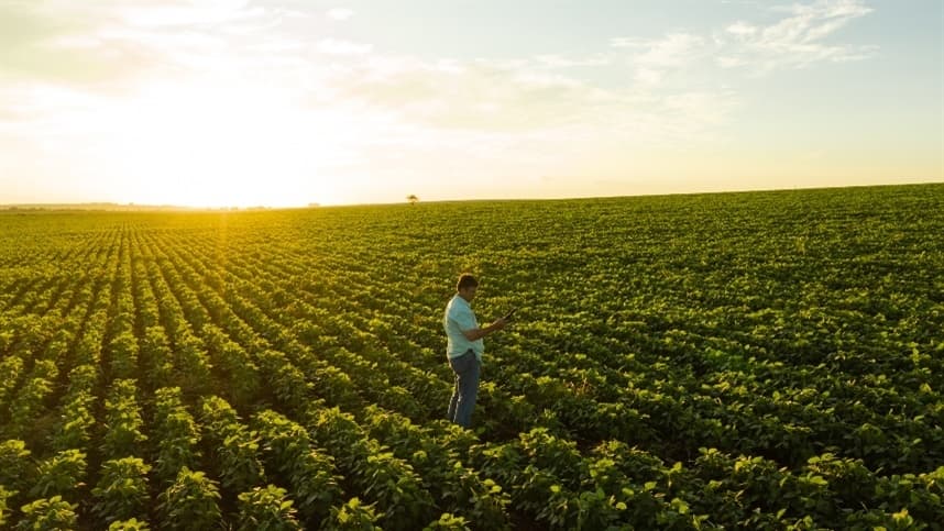 Bill Gates é o maior proprietário de terras agrícolas dos EUA