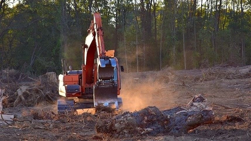 Desmatamento da Amazônia tem queda