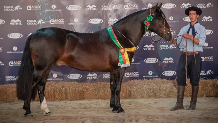 RS: quatro animais são passaporteados à Expointer através da Outonal de Esteio