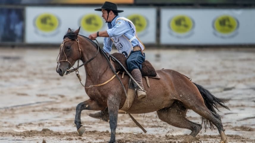 RS: Finais da Doma têm seus vencedores no palco do Cavalo Crioulo