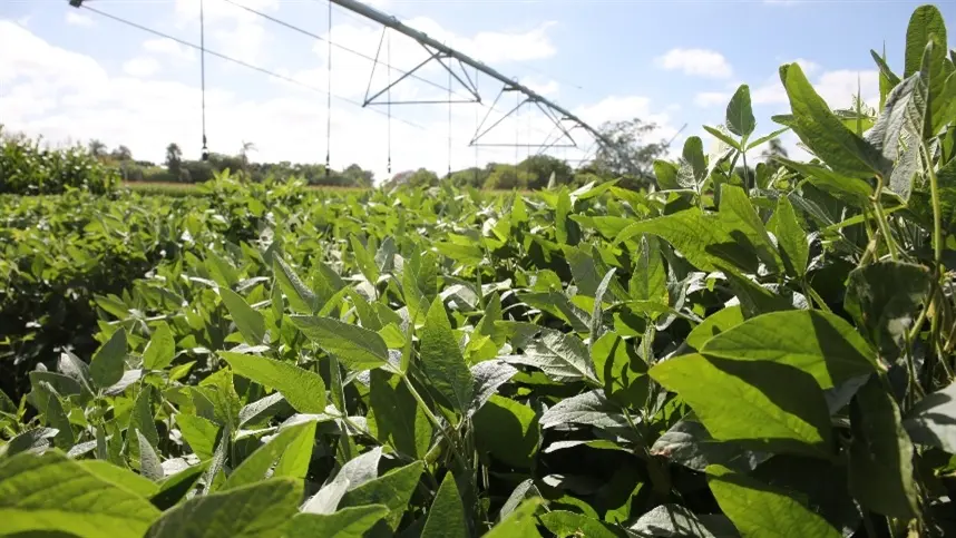 Produtor deve redobrar atenção com declaração de renda e evitar erros em contratos agrários