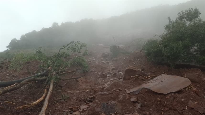 RS: perda de pelo menos 250 hectares de vinhedos 
