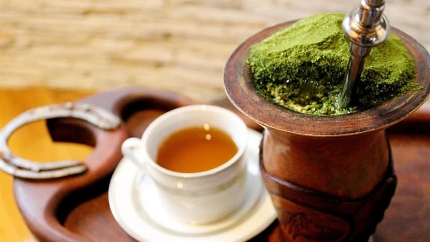 Protocolo sensorial eleva classificação do chá-mate