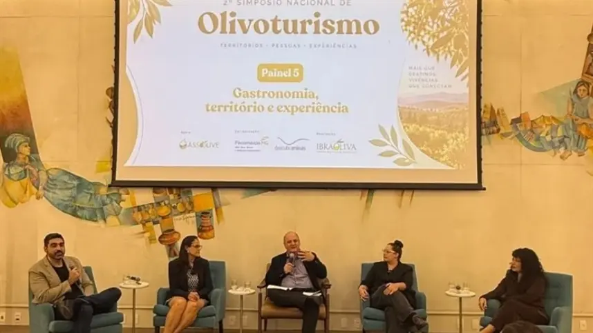 Ibraoliva defende rotas regionais para ampliar renda com olivoturismo