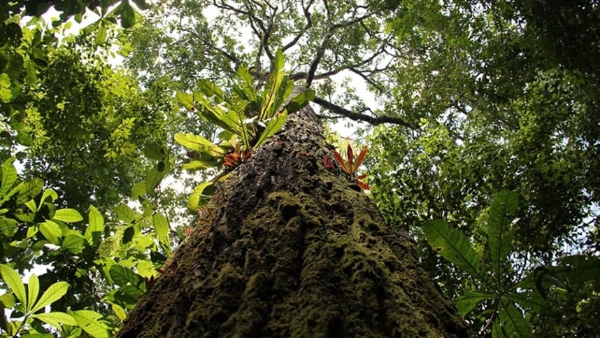Faepe avalia impacto do acordo Mercosul-UE no agro de Pernambuco