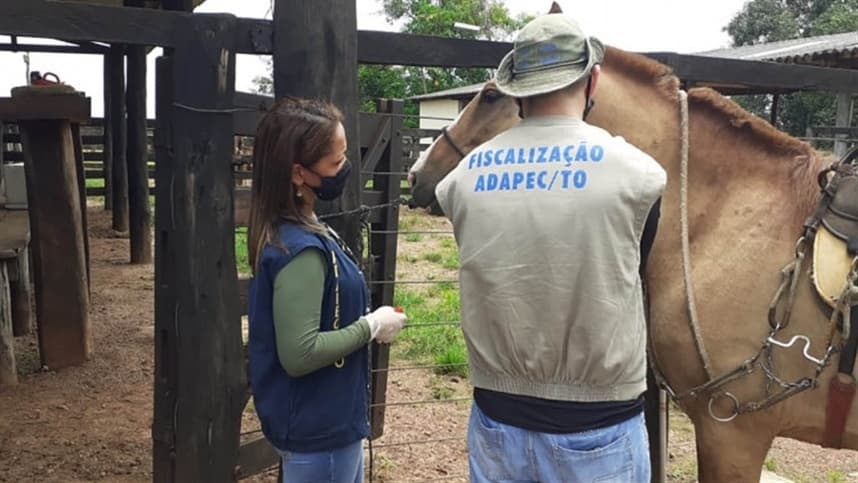 TO: Adapec alerta municípios sobre restrições para eventos equestres e aglomeração de equídeos