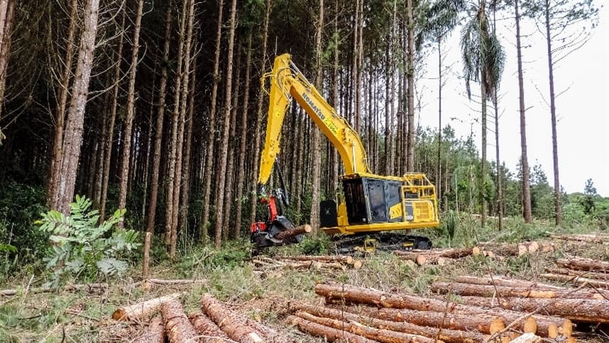 Multinacional anuncia ampliação no agro e florestal