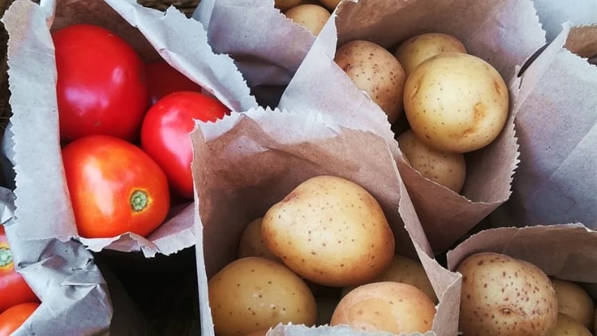Paraná é o quarto maior produtor de olerícolas no Brasil