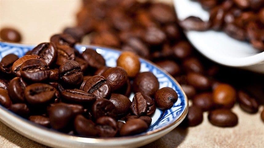 Terra cara limita expansão da lavoura de café