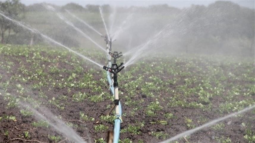 Influência da salinidade da água de irrigação no tomate