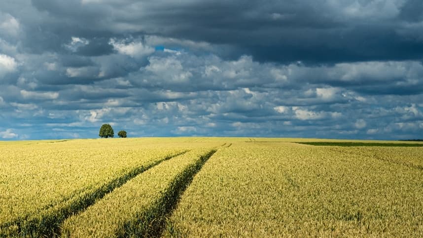 Clima indica desafios para lavouras no trimestre