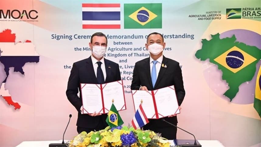 Brasil e Tailândia assinam memorando de cooperação agrícola