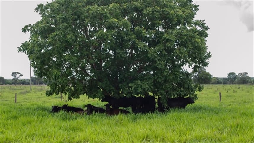 Produtores rurais são remunerados por conservação ambiental
