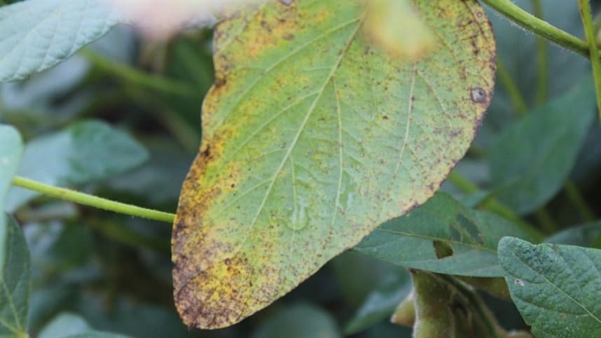 Lançada nanotecnologia de cobre inédita no Brasil