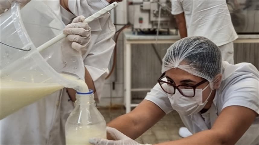 Megaleite: As tecnologias desenvolvidas para o setor serão apresentadas pela Epamig