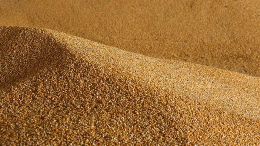 Com recorde na produção de milho, armazéns da Cageacre operam com capacidade máxima no interior do estado