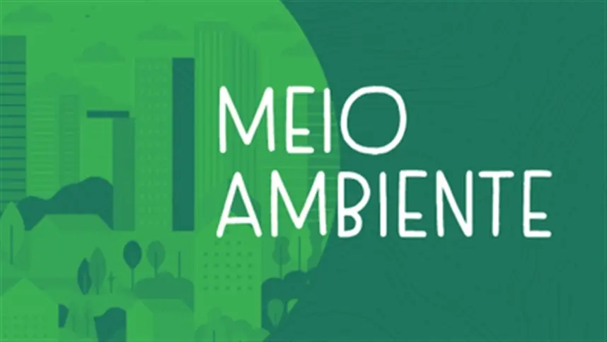 MPF obtém decisão para demolição de marina irregular em Paranaguá (PR)