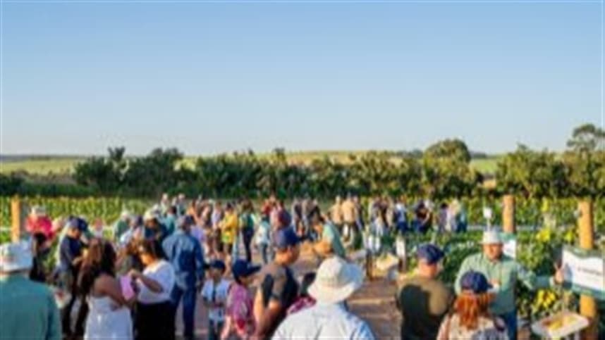 Novas genéticas de hortaliças e soluções biológicas são destaques da Hortinov, dia de campo da Sakata & Biotrop