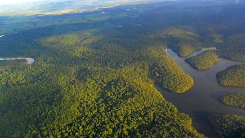 Agro pode ajudar Brasil atingir acordo estabelecido na COP26