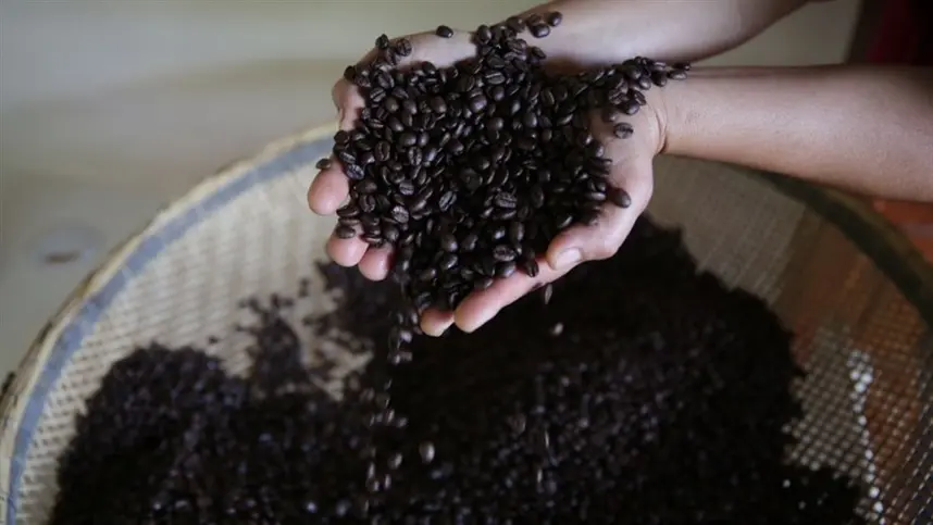 Parceria deve ampliar uso de fertilizantes de menor pegada de carbono