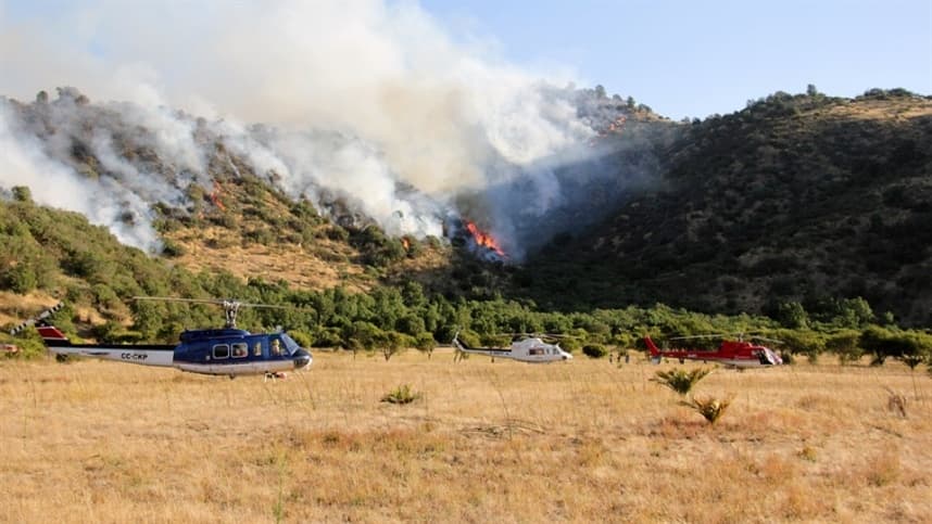 São Paulo: calor no fim de agosto aumenta risco de incêndios no campo