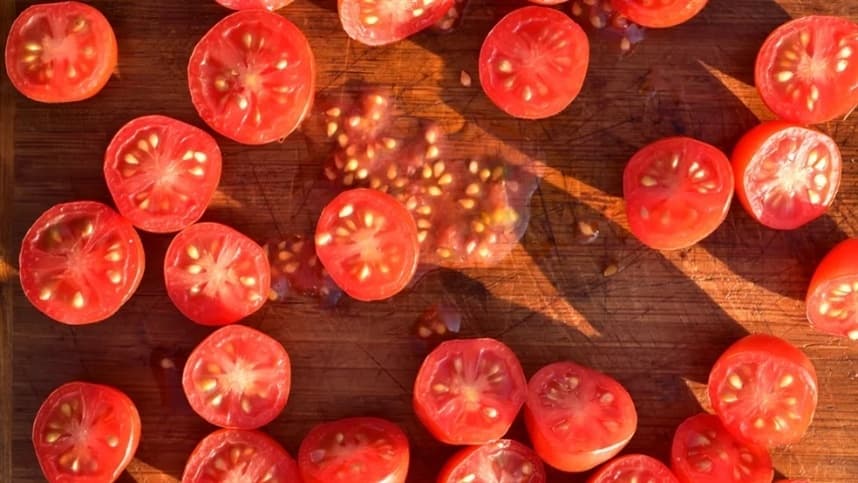 Sementes de tomate anãs serão lançadas na estação espacial 